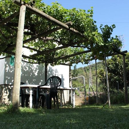 Casa La Maceta Cádis Exterior foto
