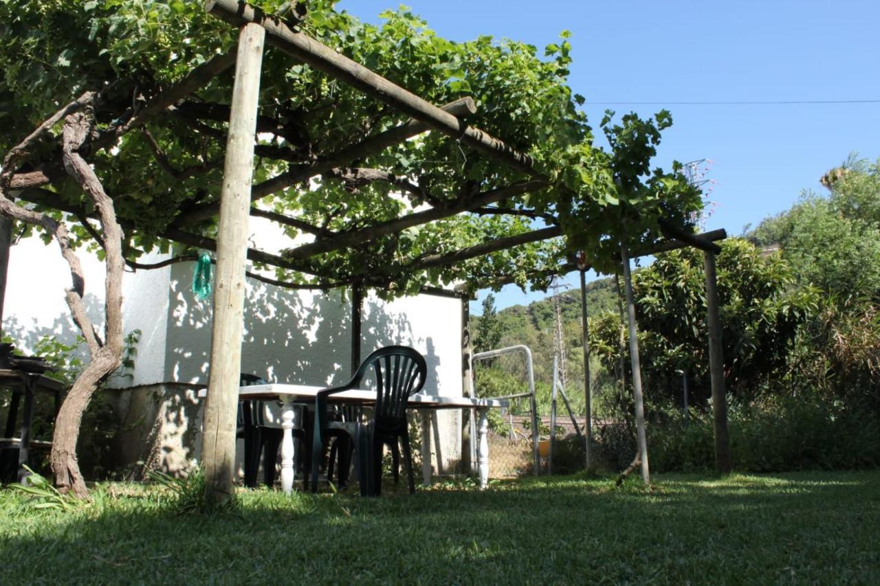 Casa La Maceta Cádis Exterior foto